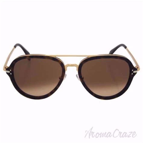 Celine Drop Cl 41374/s Acetate Aviator Unisex Sunglasses